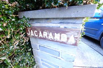 Jacaranda.