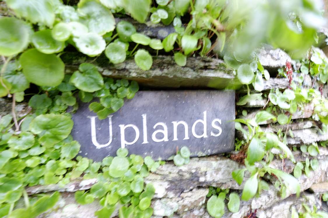 Welcome to Uplands.