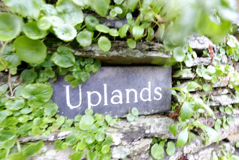 Welcome to Uplands.