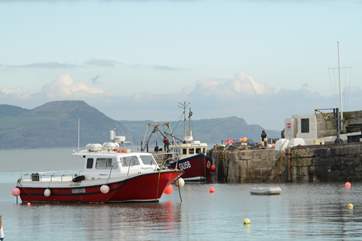 Fishing boats at Lyme Regis, with The Jurassic Coast and Golden Cap in the distance.