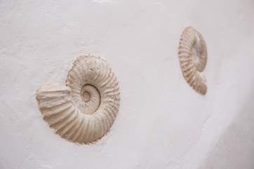 Local fossils set into the wall highlight the World Heritage status of this area.