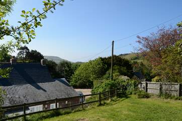 From the top of the garden you can glimpse the sea beyond St Gabriel's Ledge.