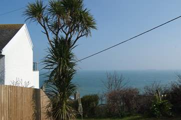 The view from the top of the garden.
