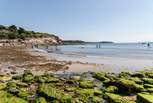 This is one of the fabulous beaches in Falmouth - Swanpool.