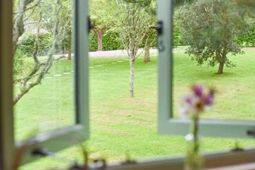The view from Jasmine overlooking the orchard.