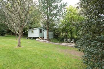 You are welcome to use the open orchard garden area.