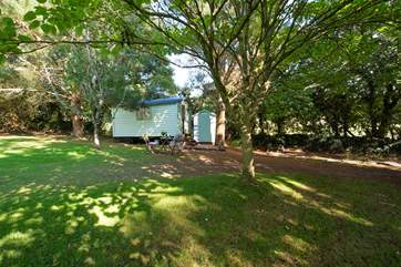 You are welcome to use the open orchard garden area.