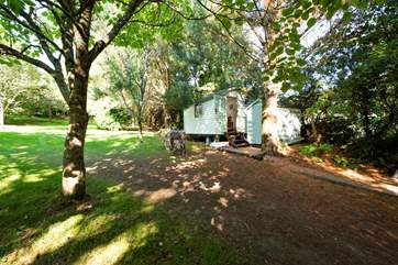 Jasmine is sat in an orchard surrounded by lovely old trees - a really delightful spot.