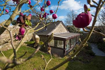 Your own private garden and a sunny conservatory.