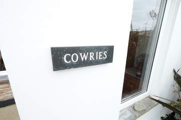 Cowries.