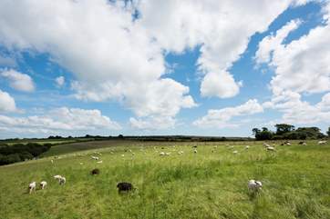 Surrounded by farmland.