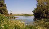 A lake found within the Country Park. - Thumbnail Image