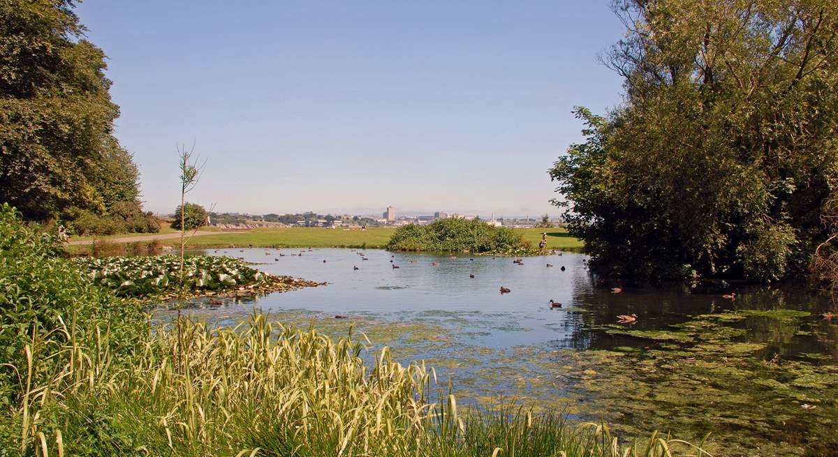 A lake found within the Country Park.