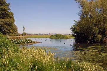 A lake found within the Country Park.