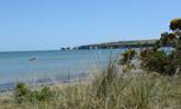 Further afield, Studland beach, safe and sandy. In the distance Old Harry Rocks, the beginning of the Jurassic Coast. - Thumbnail Image