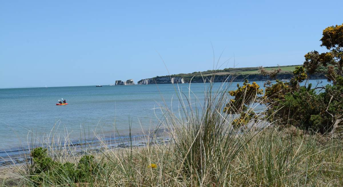 Further afield, Studland beach, safe and sandy. In the distance Old Harry Rocks, the beginning of the Jurassic Coast.