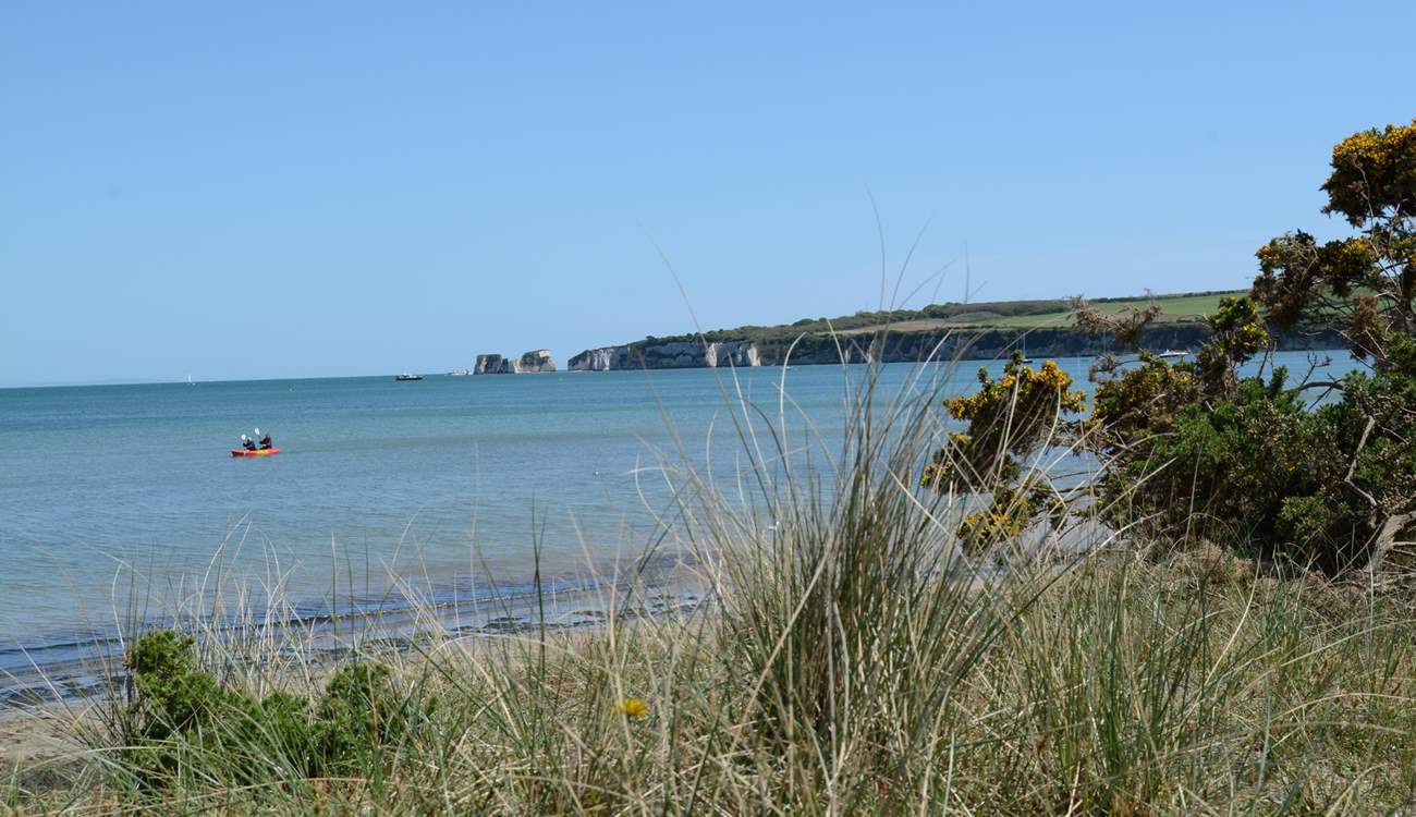 Further afield, Studland beach, safe and sandy. In the distance Old Harry Rocks, the beginning of the Jurassic Coast.