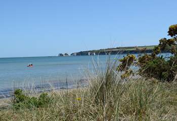 Further afield, Studland beach, safe and sandy. In the distance Old Harry Rocks, the beginning of the Jurassic Coast.