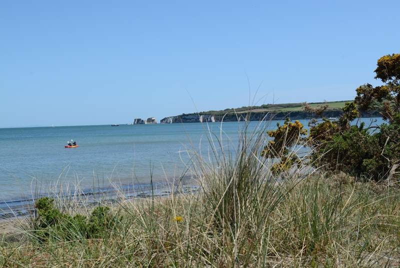 Further afield, Studland beach, safe and sandy. In the distance Old Harry Rocks, the beginning of the Jurassic Coast.