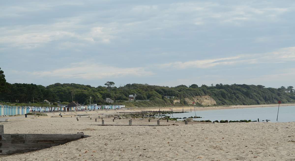 From October until the end of April dogs are allowed on the beach and in the sea!