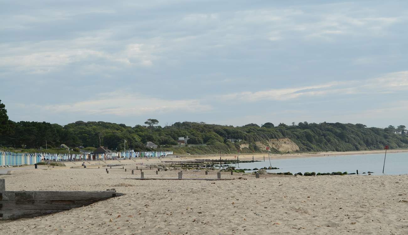 From October until the end of April dogs are allowed on the beach and in the sea!