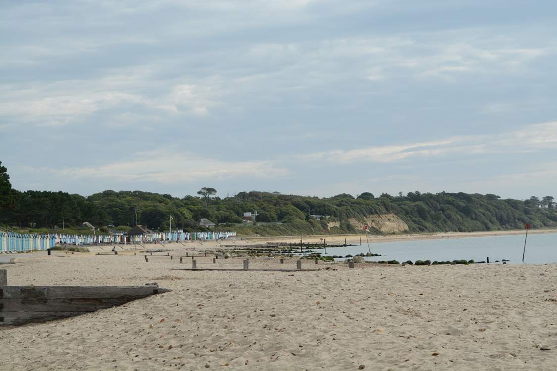 From October until the end of April dogs are allowed on the beach and in the sea!