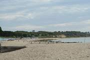 From October until the end of April dogs are allowed on the beach and in the sea!
