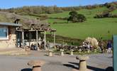 The award-winning Sea Shanty Beach cafe at Branscombe beach serves delicious locally-caught seafood. - Thumbnail Image