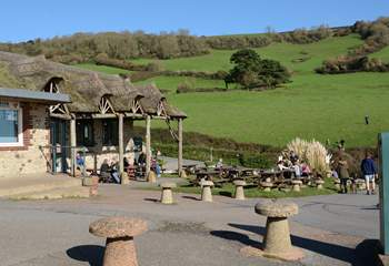 The award-winning Sea Shanty Beach cafe at Branscombe beach serves delicious locally-caught seafood.
