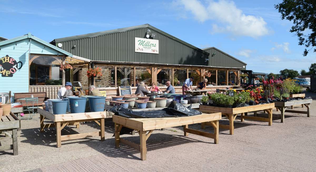 Millers Farm shop on the A35 just outside of Axminster has an array of local produce and delicious holiday treats.