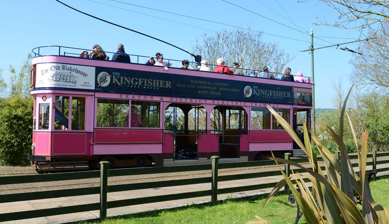 This little tram runs between the historc village of Colyton and the Jurassic coast at Seaton, following the Axe estuary through two nature reserves.