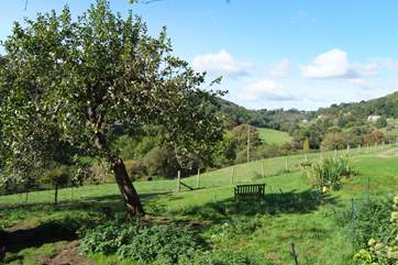 An extra piece of tranquility, where you can sit and take in the fabulous views across the valley.