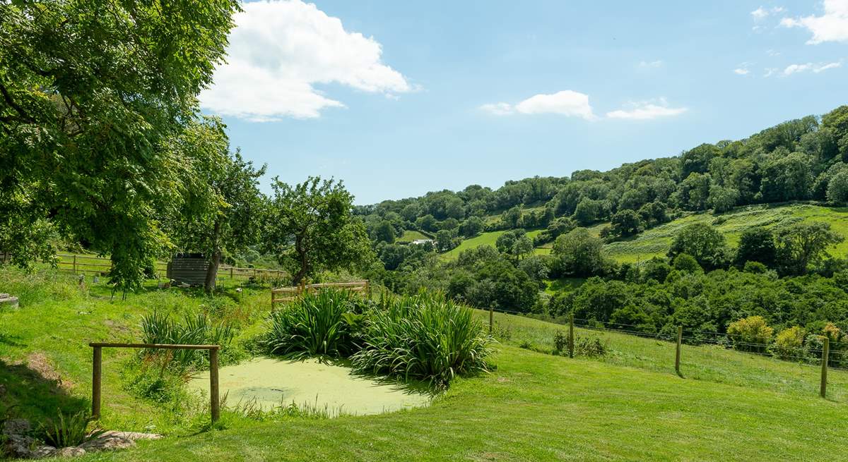 What a peaceful place to sit and relax. With the pond in front of you (please take care with children) and the valley stretching away down the hill.