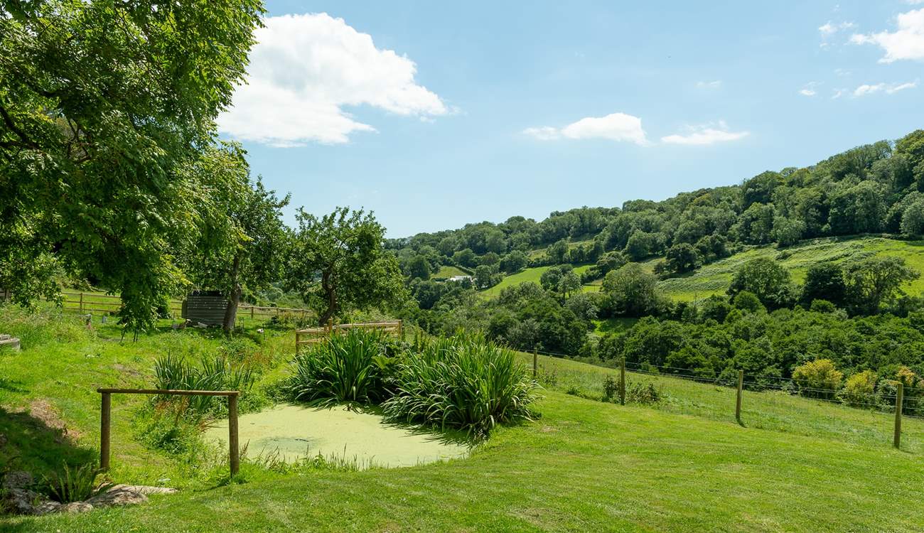 What a peaceful place to sit and relax. With the pond in front of you (please take care with children) and the valley stretching away down the hill.