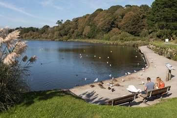 Swanpool is a fun place to feed the ducks and swans and is just behind the beach.