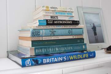 There are plenty of books provided for your use.