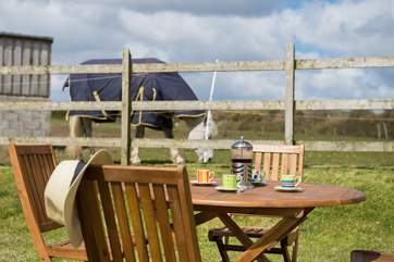 Meet Bobby the Owners' horse who grazes in the field next to the cottage garden.
