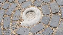 Fossil hunters will really appreciate this beautiful ammonite, evidence of life on earth from millions of years ago.