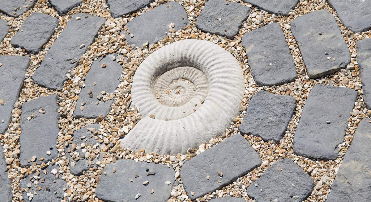 Fossil hunters will really appreciate this beautiful ammonite, evidence of life on earth from millions of years ago.