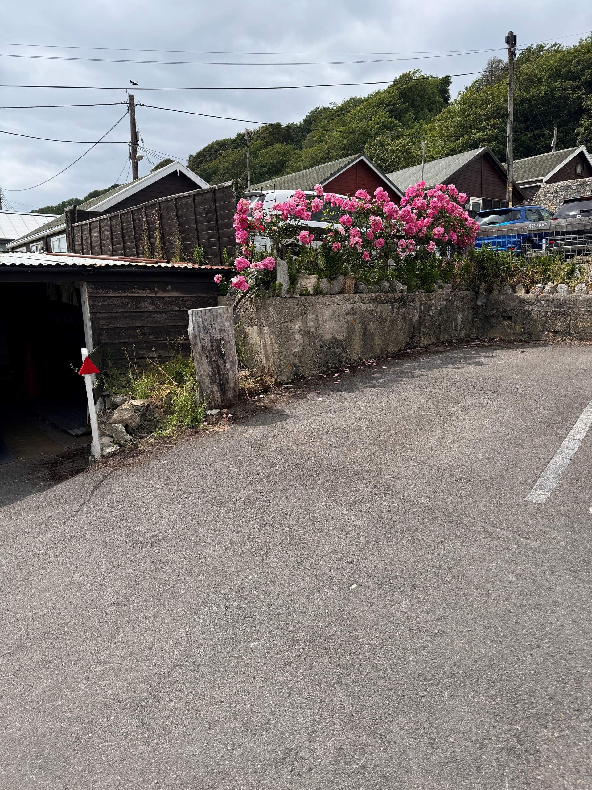 The parking space for Cobb Cottage is located to the back far right of the car park (adjacent to the tree stump). The cottage is just above, accessed via a footpath.