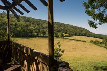 Any array of wildlife can be seen from here, there are even distant sea views!