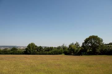 This is the setting you will be treated to. There are distant sea views from the viewing platform at the top of the field above the shepherd's hut.