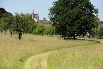 This path leads you through an orchard and up to Lady's Well Shepherd's Hut.
