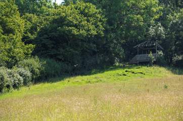 A short stroll away is magical viewing platform - exclusively for your use.