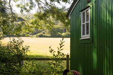 Looking at the view behind the hut. Total seclusion.