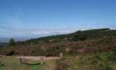 Take a picnic and look out across the Bristol Channel to south Wales! - Thumbnail Image