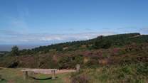Take a picnic and look out across the Bristol Channel to south Wales!