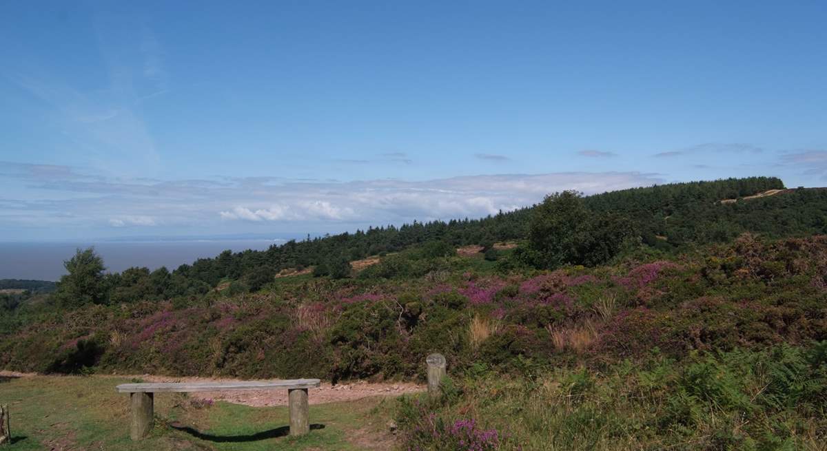 Take a picnic and look out across the Bristol Channel to south Wales!