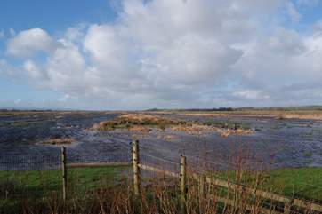 The Somerset Levels are nearby - with some fantastic RSPB wildlife sites. This is at Greylakes.