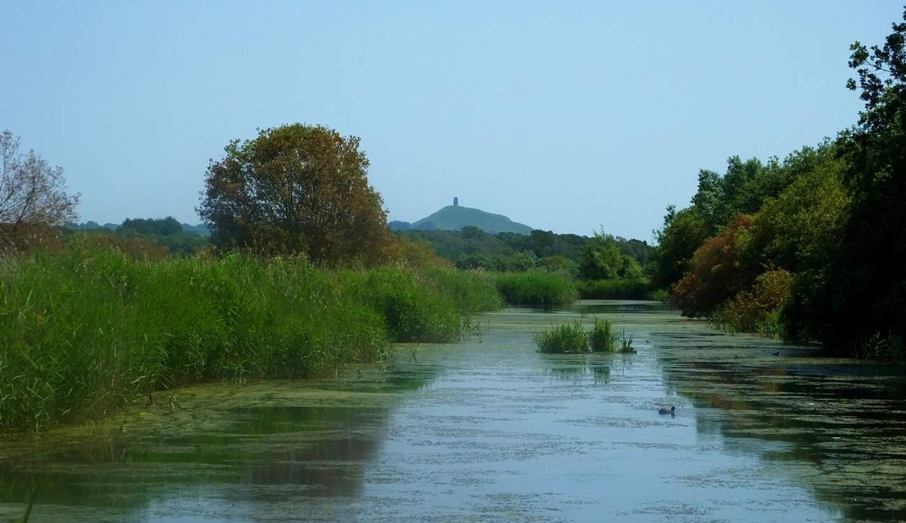 Visit the Somerset Levels and see if you can spot Glastonbury Tor!
